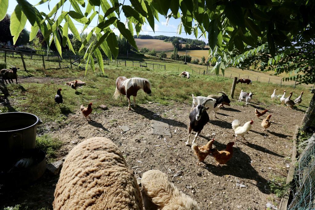 فيلا Castelnaud-de-Gratecambeفي La Ferme Couderc المظهر الخارجي الصورة