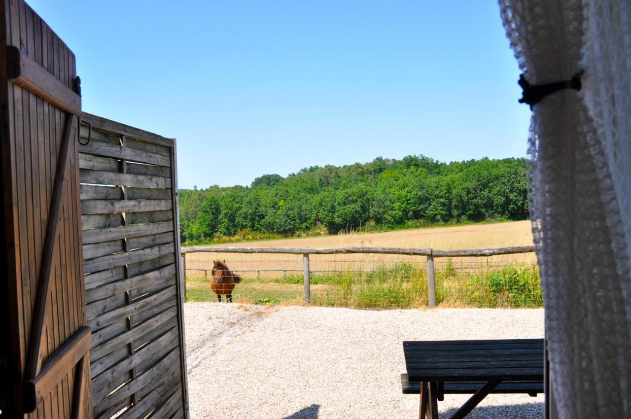 فيلا Castelnaud-de-Gratecambeفي La Ferme Couderc المظهر الخارجي الصورة